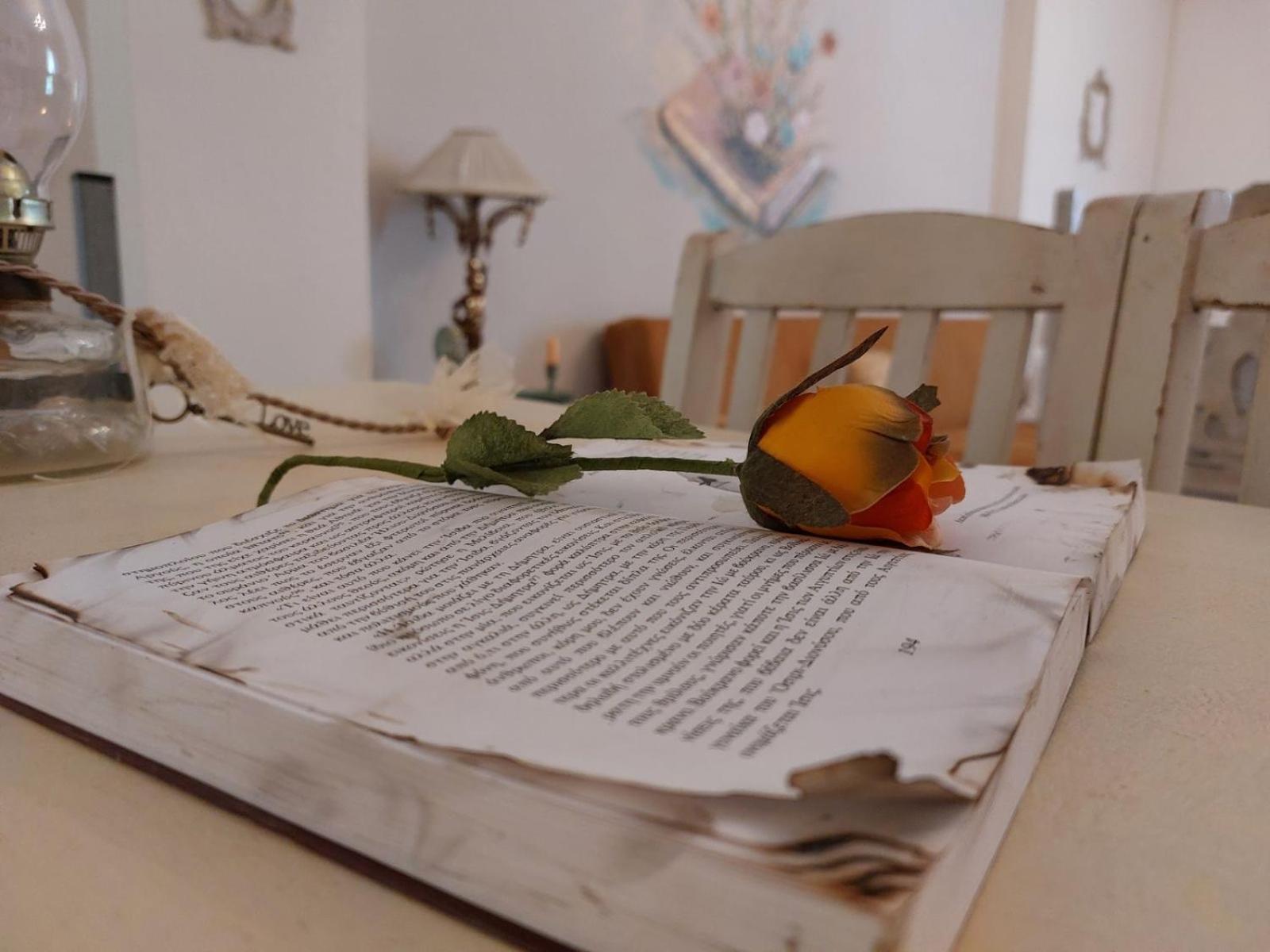 Antique Apartment アフィトス エクステリア 写真